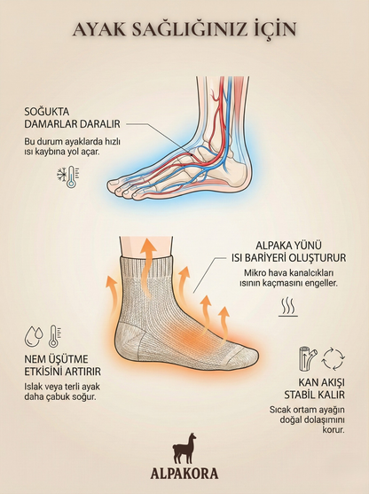 Doğal Alpaka Yünlü Kışlık Çorap